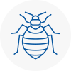 Bed Bug Extermination In Harrow Weald