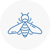 Bee Nest Removal Harrow Weald