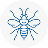 Harrow Weald Hornet Nest Removals