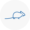 Mice Exterminators In Harrow Weald