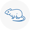 Rat Control Harrow Weald