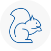 Harrow Weald Rodent Removals