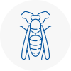 Harrow Weald Wasp Nest Removal